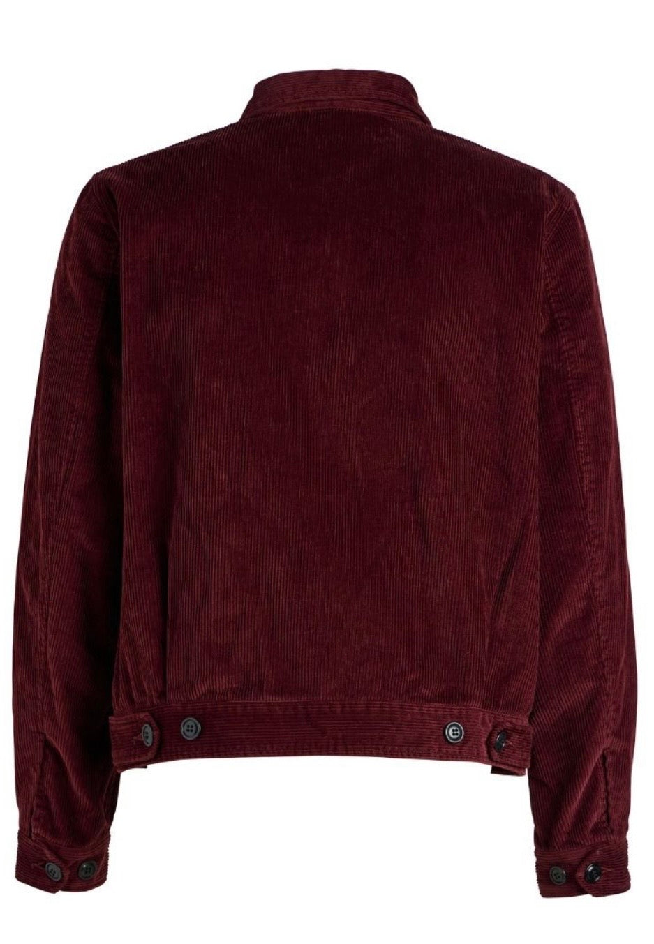 Corduroy blazer coat