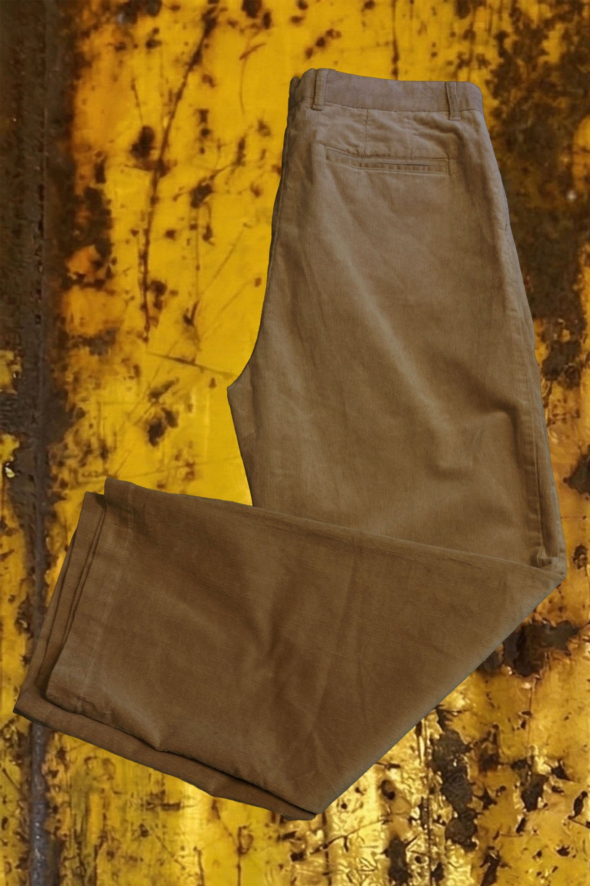 Pantalone velluto